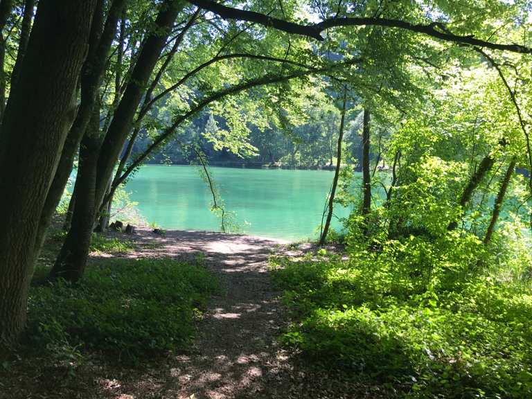 Wöhrsee Wanderungen und Rundwege komoot