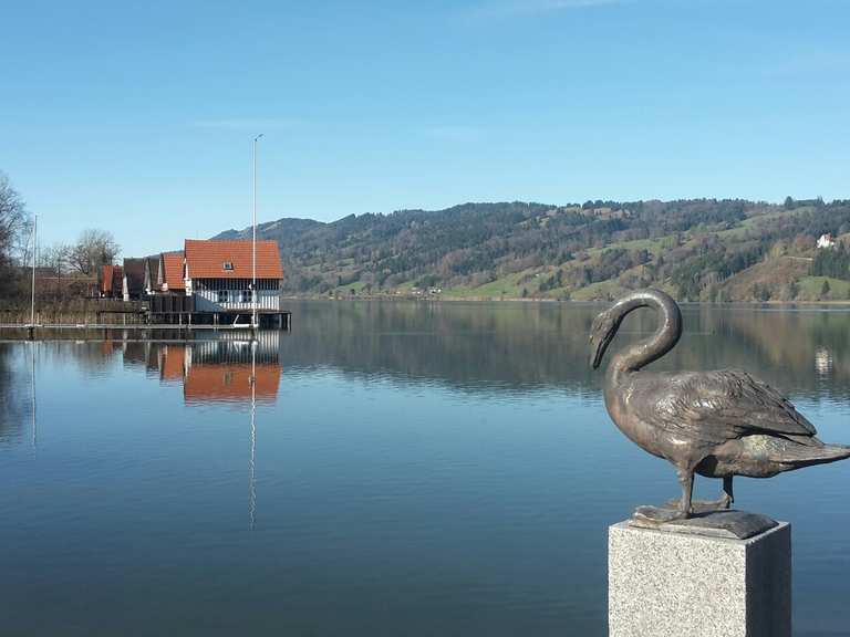 Großer Alpsee bei Immenstadt: Wanderungen und Rundwege | komoot