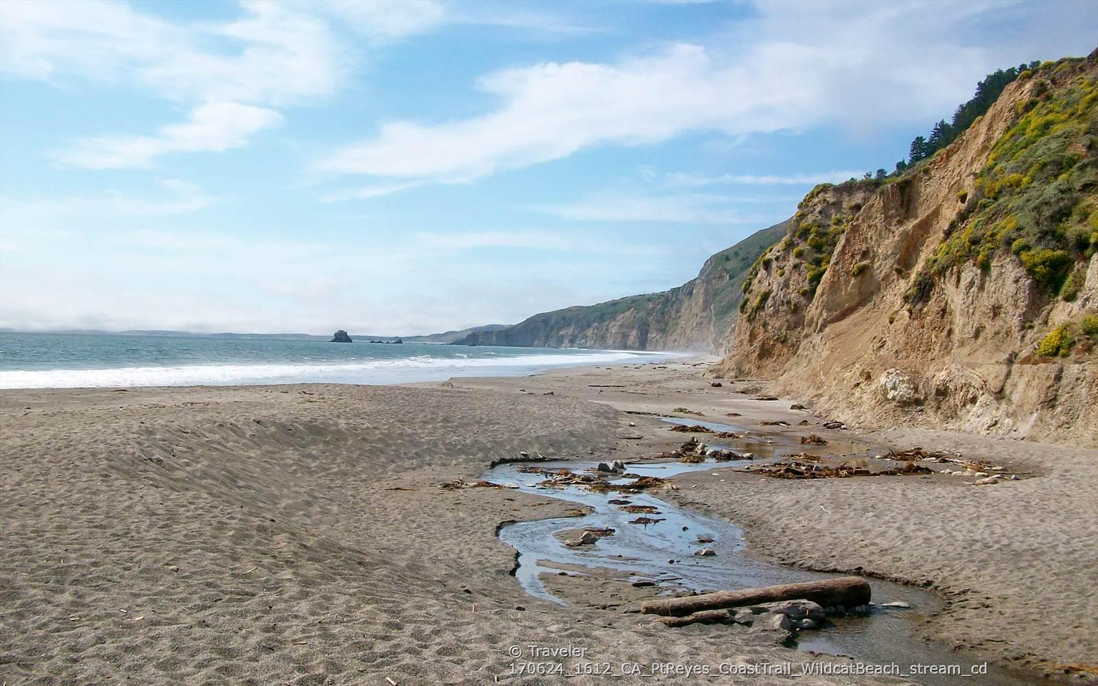 Stream flowing across a sandy beach with a steep, vegetated cliff and ocean waves.
