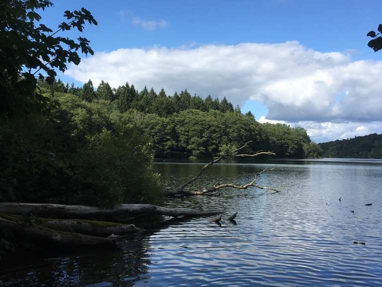 Blick auf den Großen Schierensee Wanderungen und Rundwege komoot
