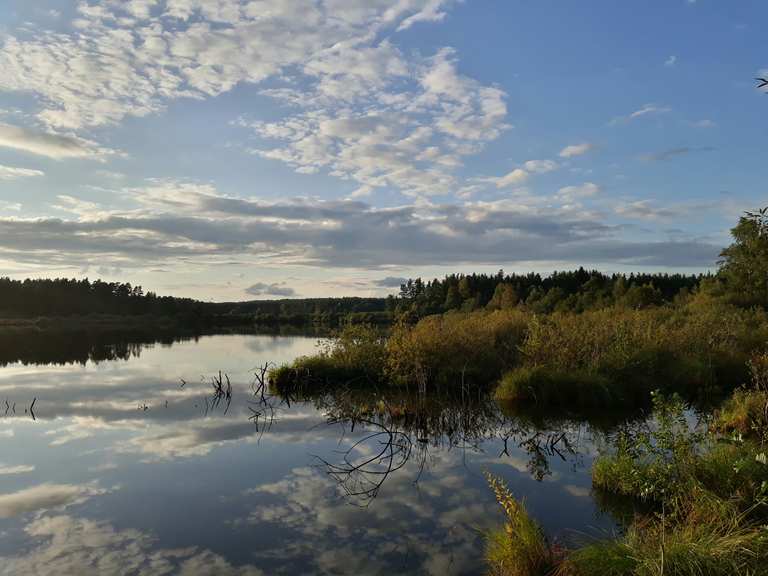 Großer Rußweiher Wanderungen und Rundwege komoot