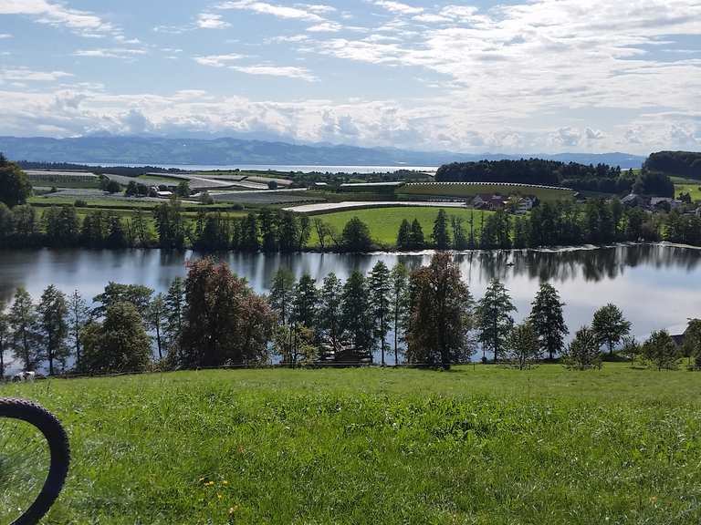 Schleinsee MountainbikeTouren und Trails komoot