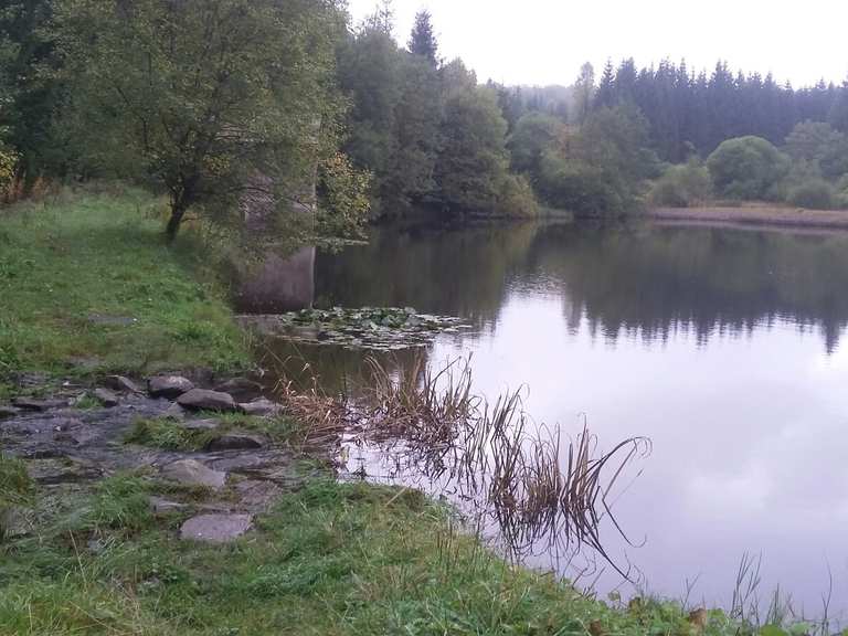 Schwarzer Teich Routes for Walking and Hiking Komoot