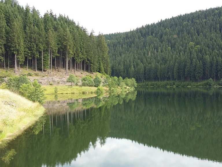 Goldisthal Talsperre Vorsperre Stausee Runde Von Hauptstrasse