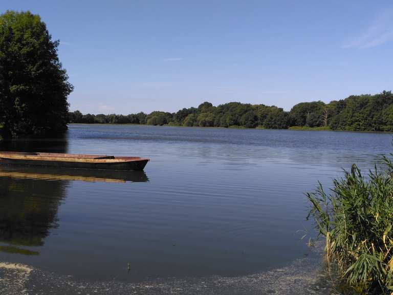 Schöner Radweg am Teich Runde um den Bärwalder See Rondje vanuit