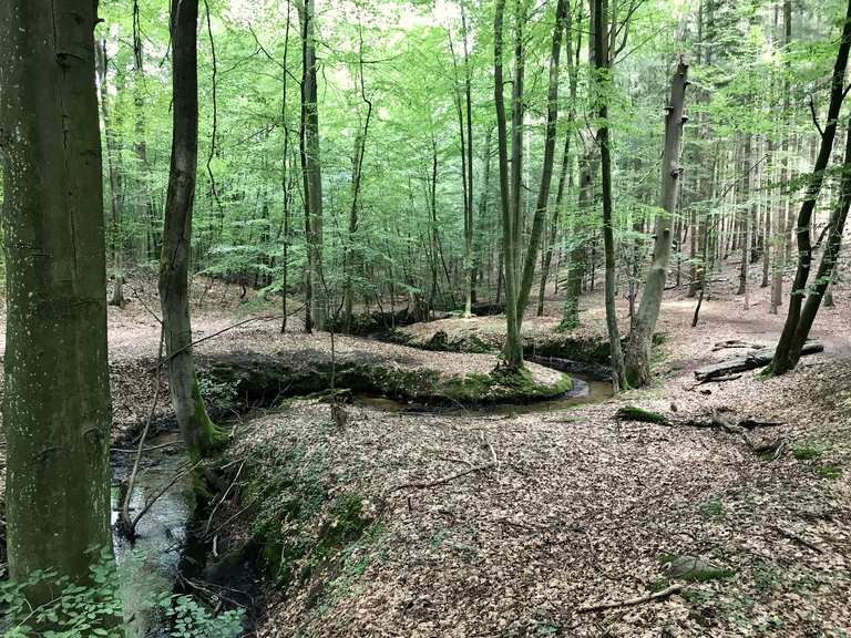 NSG NonnenfließSchwärzetal Wanderungen und Rundwege komoot