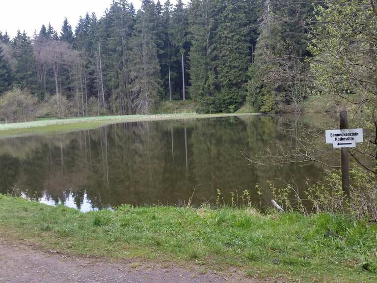 Stierbergsteich - Stempelstelle HWN 48: Mountainbike-Touren und 