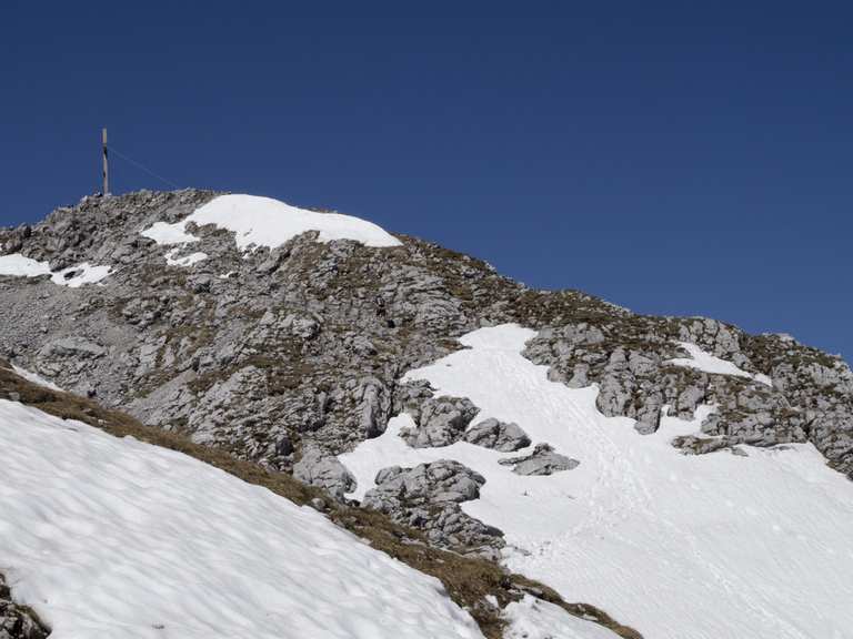 Scheffauer Touren und Karten komoot