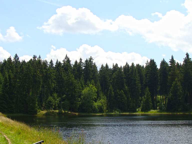 Oberer Hahnebalzer Teich (HWN 141) Itinéraires de rando et marche