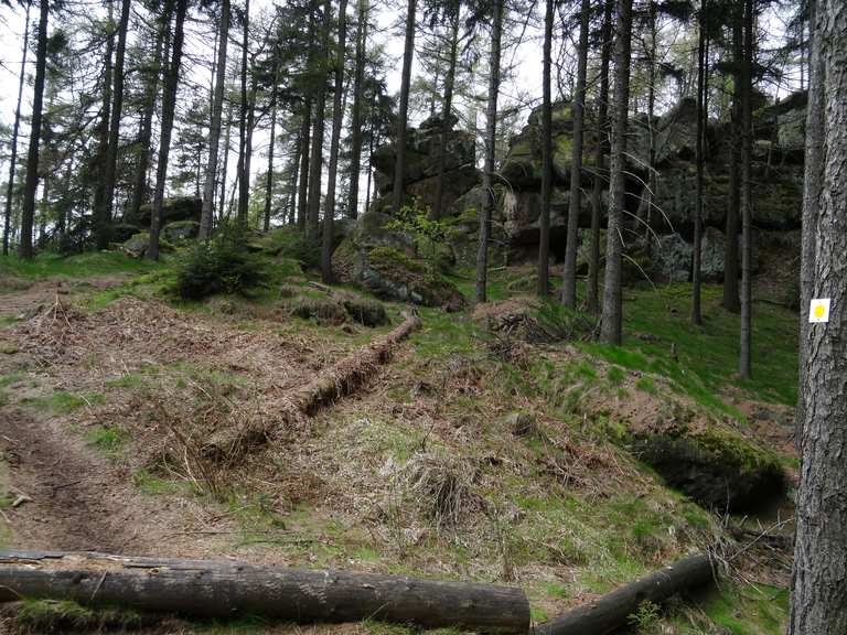 Ameisenberg Gotzenstein Basteiaussicht Olbersdorf Gorlitz Hiking Tips Photos Komoot