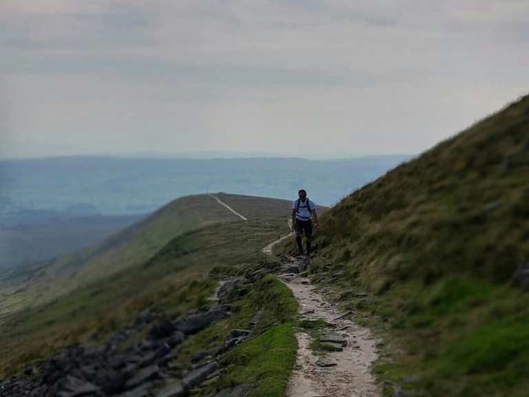 Ingleborough - Craven, North Yorkshire | Hiking Tips & Photos | Komoot