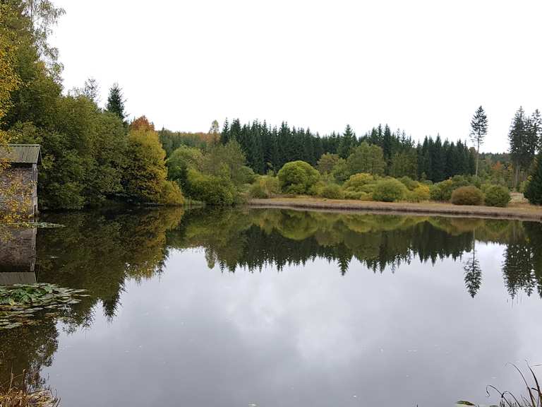 Schwarzer Teich Wanderungen und Rundwege komoot