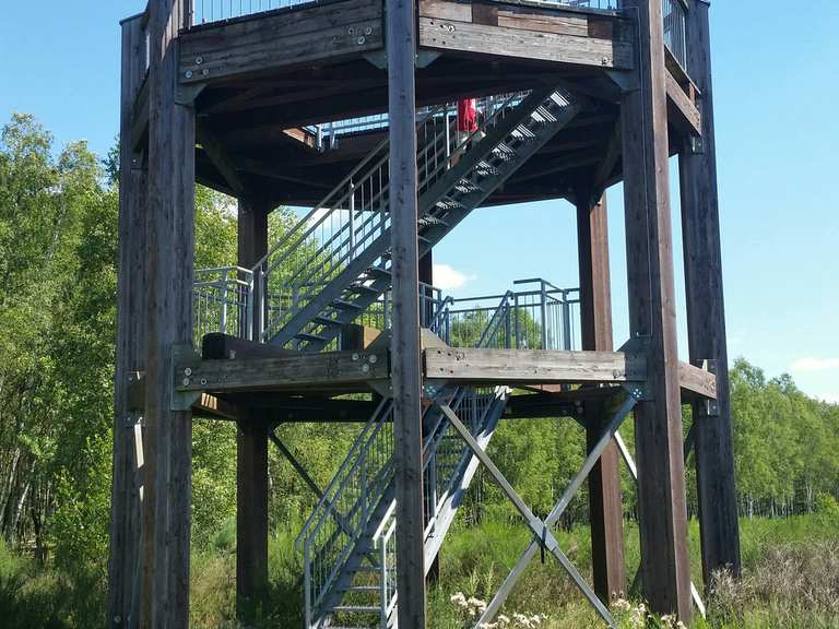 Königsbrücker Heide Umrundung Wanderung Komoot
