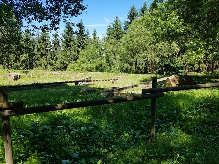 Mtb park st discount vith