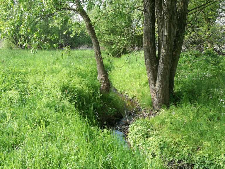 LE Entlang der östl. Rietzschke / Mölkau Wanderungen und Rundwege