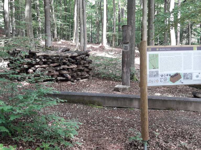 Keltenweg Schöne Aussicht Runde von Hohemark Wanderung Komoot