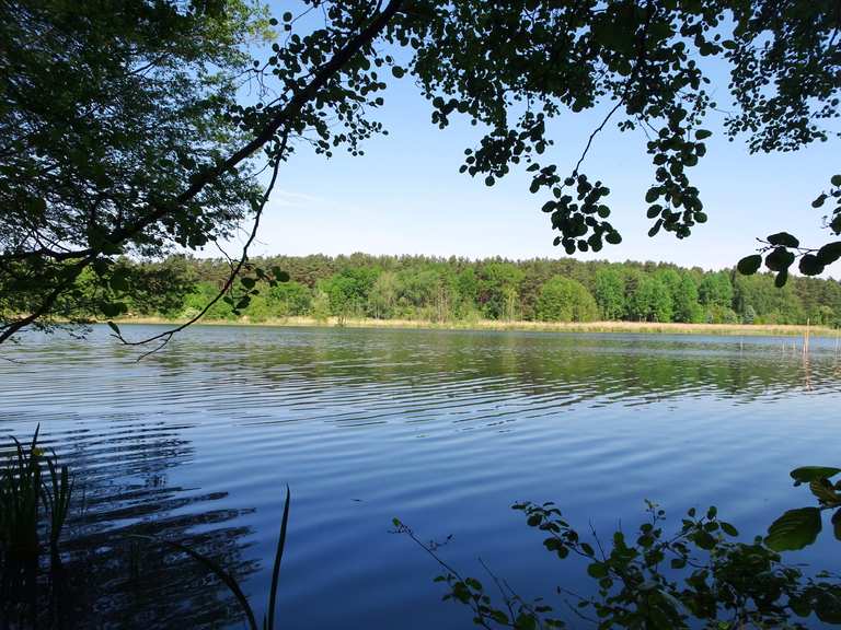 Eiserbuder See Bauersee Runde von Sophienstädt Wanderung Komoot