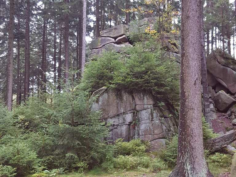 Mauseklippe Schierke Harz Hiking Tips Photos Komoot