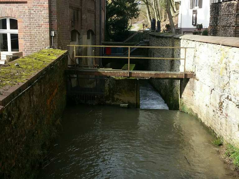 Auermühle Wanderungen und Rundwege komoot