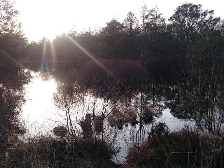 Aussichtsplattform im Moor: Wanderungen und Rundwege | komoot