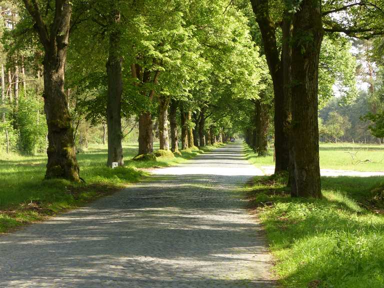 Die Wüstung Haustenbeck Haustenbeck Allee Radtouren und Radwege komoot