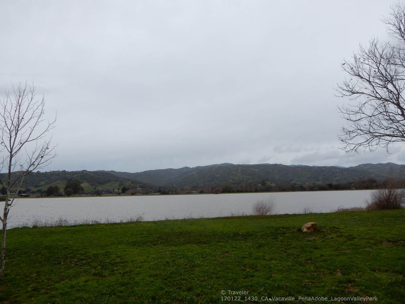 Overcast sky above a calm lake, green hills, and bare trees. - Peña Adobe Hill Trail
