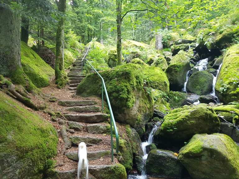 Gertelbacher Wasserfälle: Wanderungen und Rundwege | komoot