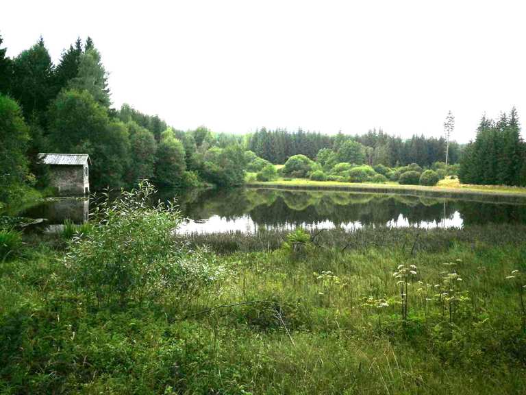 Schwarzer Teich Routes for Walking and Hiking Komoot