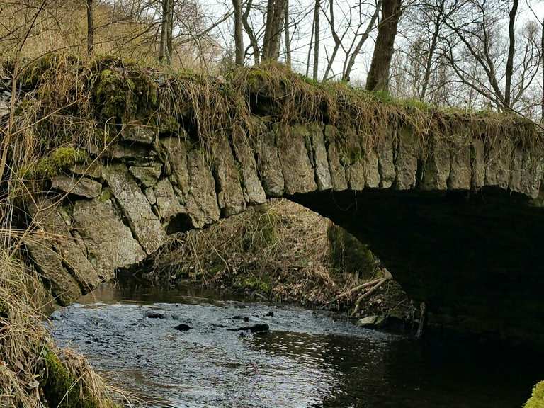 Buchenbachtal Wanderungen und Rundwege komoot