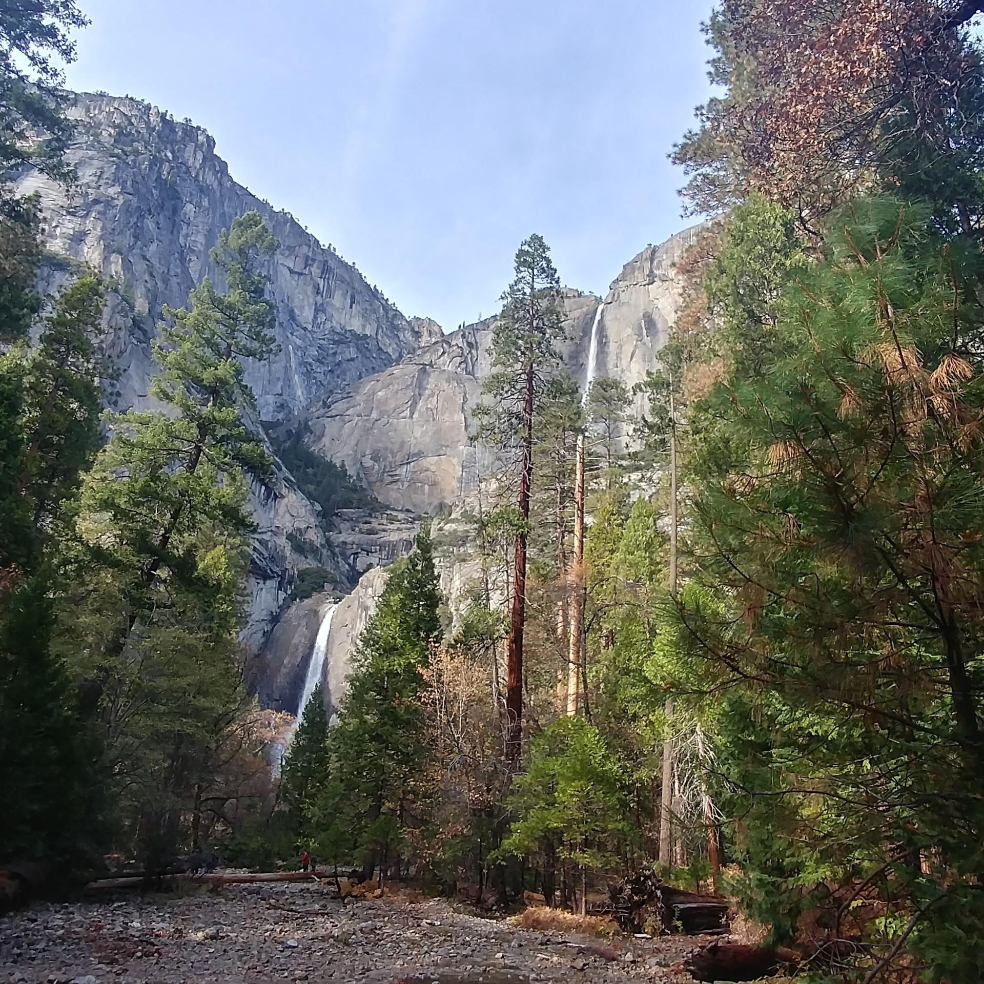 Tall waterfalls cascade down immense cliffs surrounded by a dense forest.