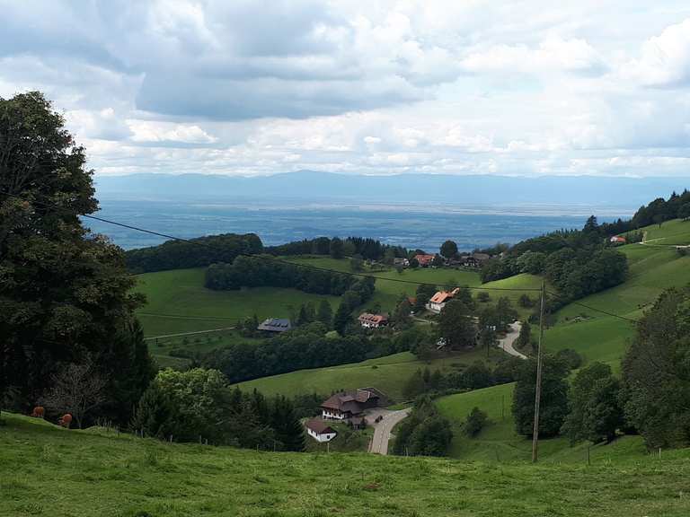 Geiersnest – Über dem Geiersnest. Loop from FreiburgSankt Georgen