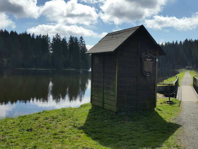 Bärenbrucher Teich (HWN 137) Wanderungen und Rundwege komoot