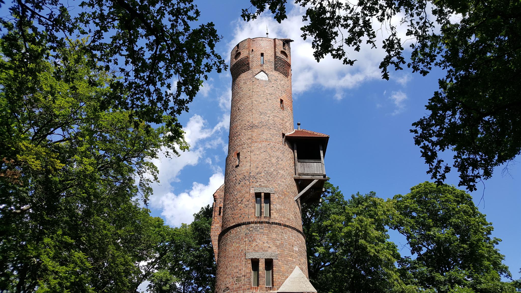 Bismarckturm: Wanderungen Und Rundwege | Komoot