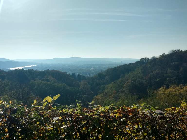 Wüstenhof Wanderungen und Rundwege komoot