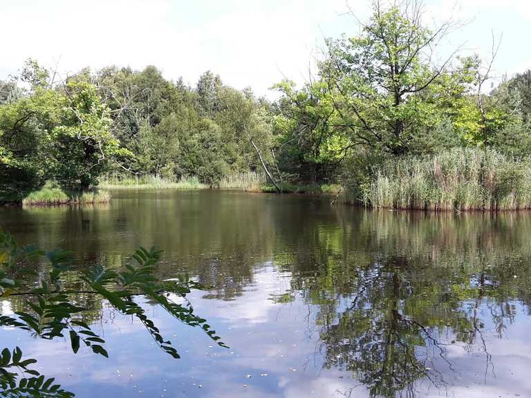 DreiInselTeich mit Vogelaussicht Routes for Walking and Hiking Komoot