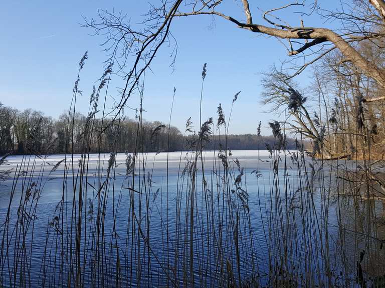 Großer Plessower See Wanderungen und Rundwege komoot