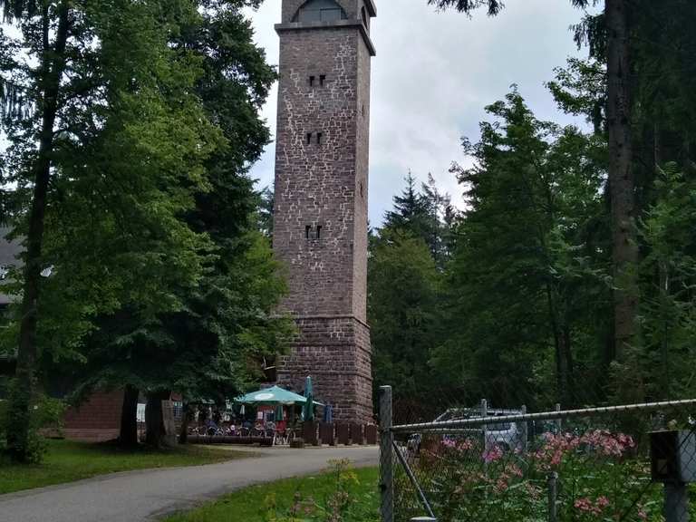 Brandenkopf Wanderungen und Rundwege komoot