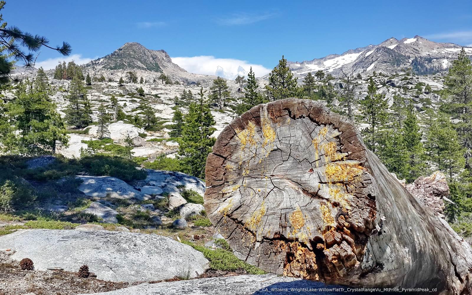 Sunny mountain landscape with a large fallen tree trunk and distant snow-capped peaks.