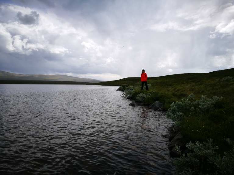 Visjön Wanderungen und Rundwege komoot