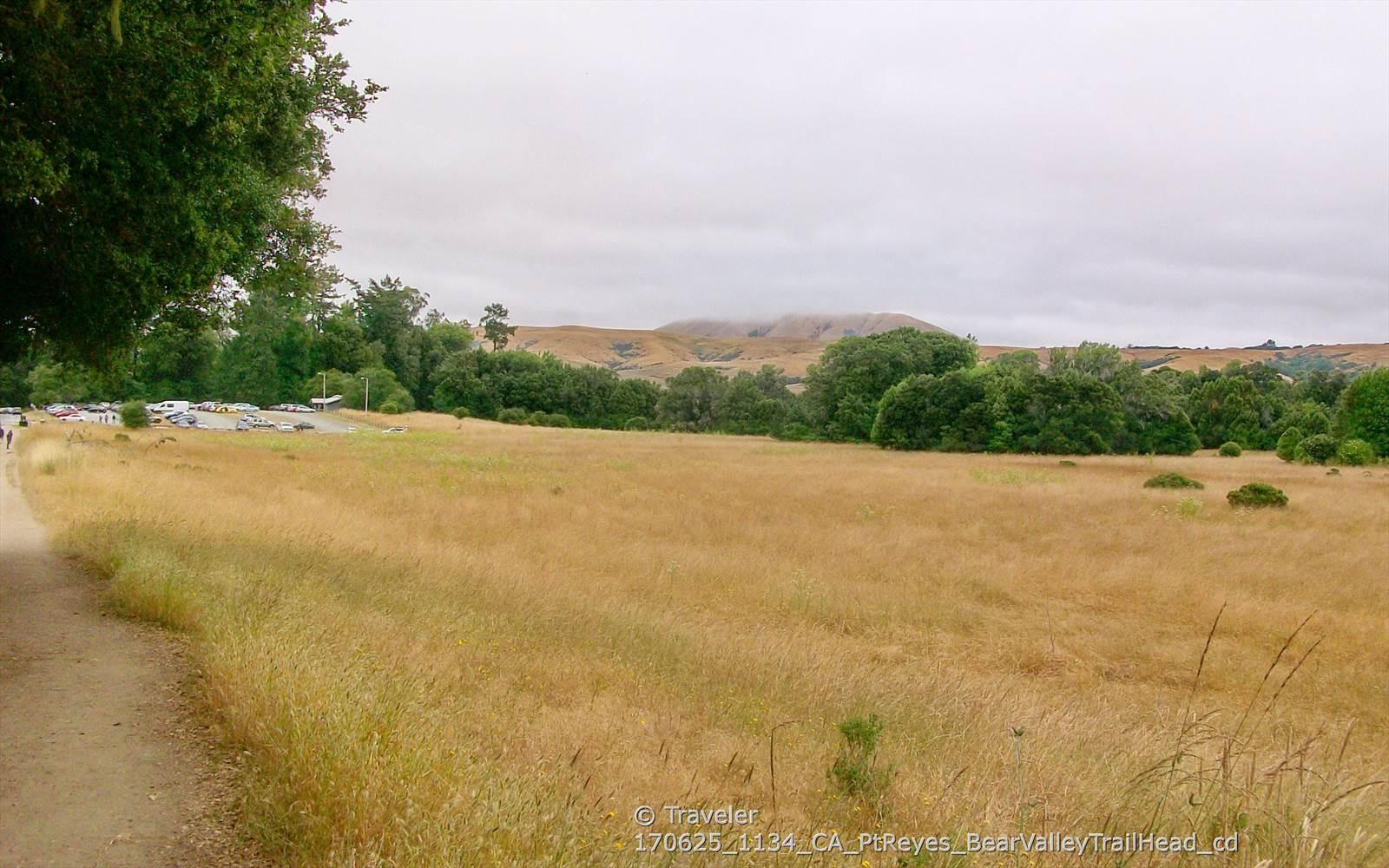 Wide view of a golden grassy field with distant trees and hills under a cloudy sky.