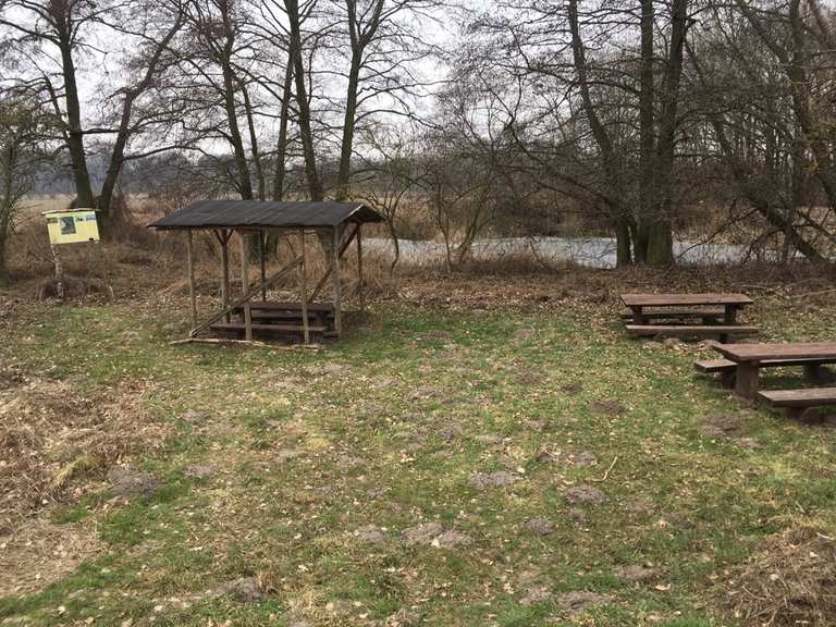 Löwenzahnpfad im NSG Schönerlinder Teiche Wanderungen und Rundwege