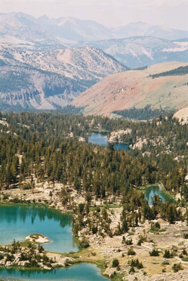 Aerial view of turquoise lakes, dense forests, and distant mountains on a sunny day.