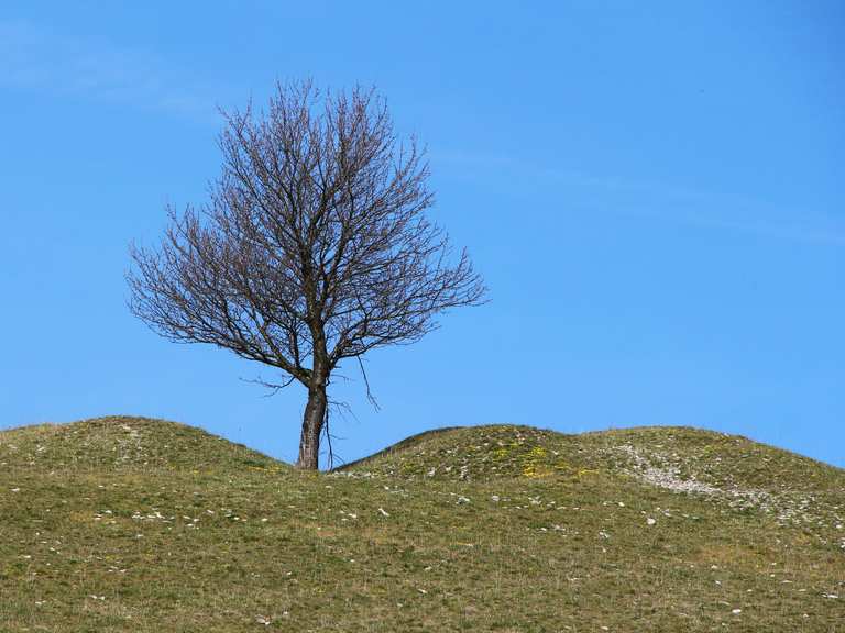 Der gelbe Berg: Wanderungen und Rundwege | komoot