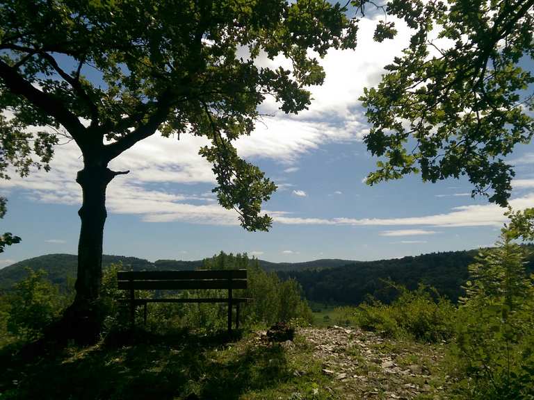 Houbirg - Happurg, Nürnberger Land | Hiking Tips & Photos | Komoot
