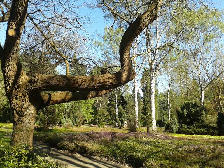 Forstbotanischer Garten Pfauenwiese Runde von