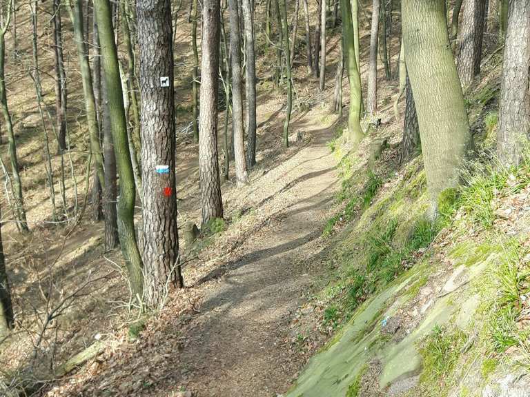 Hohler Fels - Deidesheim, Bad Dürkheim | Wandertipps & Fotos | Komoot