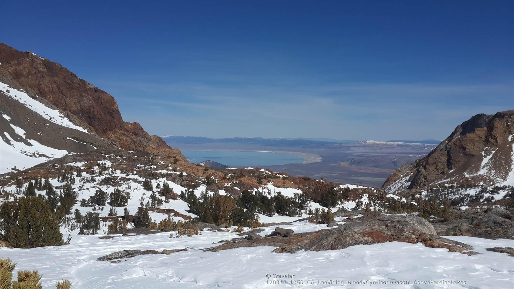 Snowy mountain pass with scattered trees, distant lake, under clear blue sky.