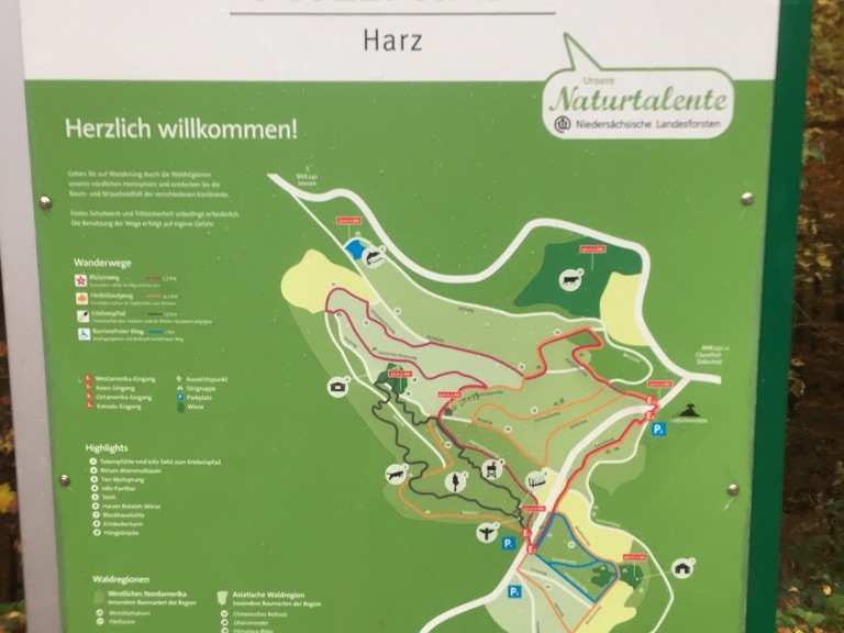 WeltWald Bad Grund - Bad Grund, Osterode am Harz | Hiking Tips & Photos