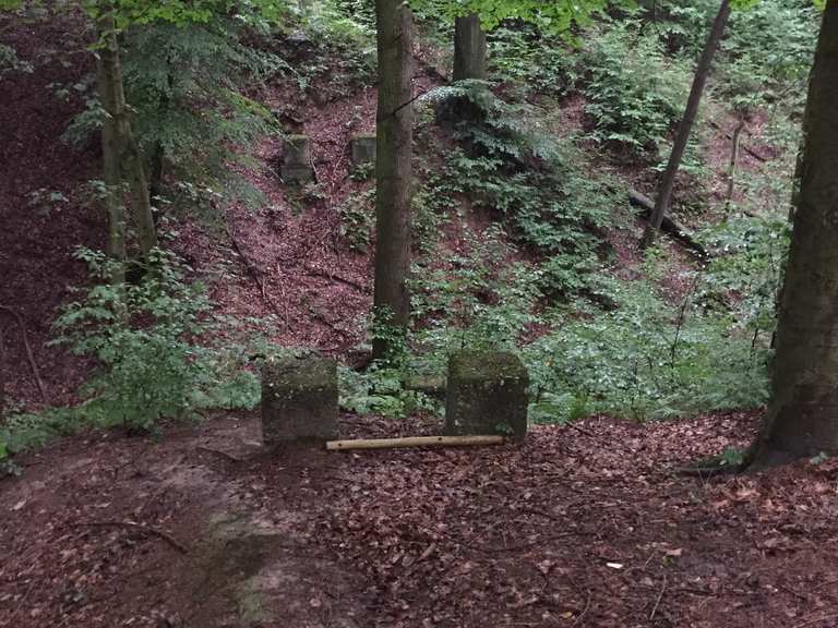 Ehemalige Marienbrücke: Wanderungen und Rundwege | komoot