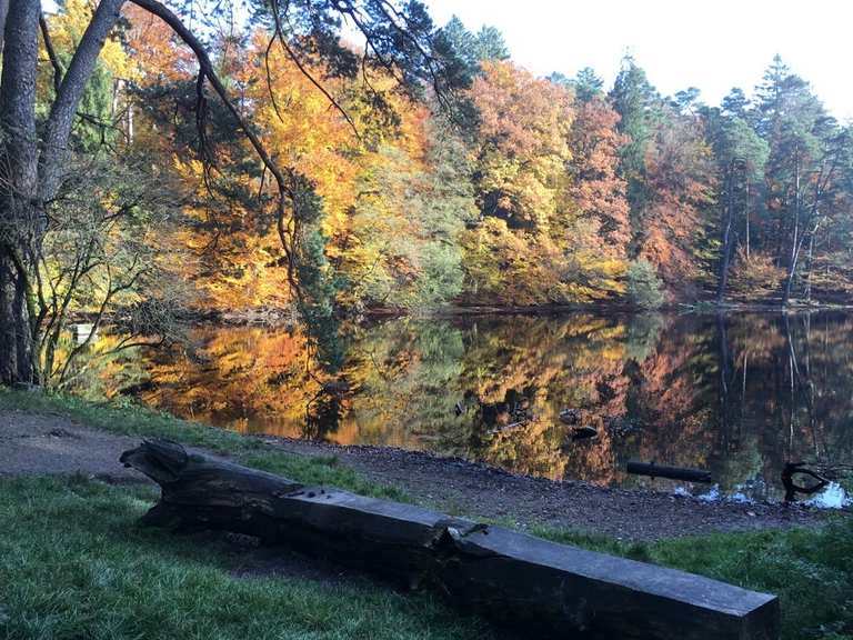 Donoper Teich Wanderungen und Rundwege komoot